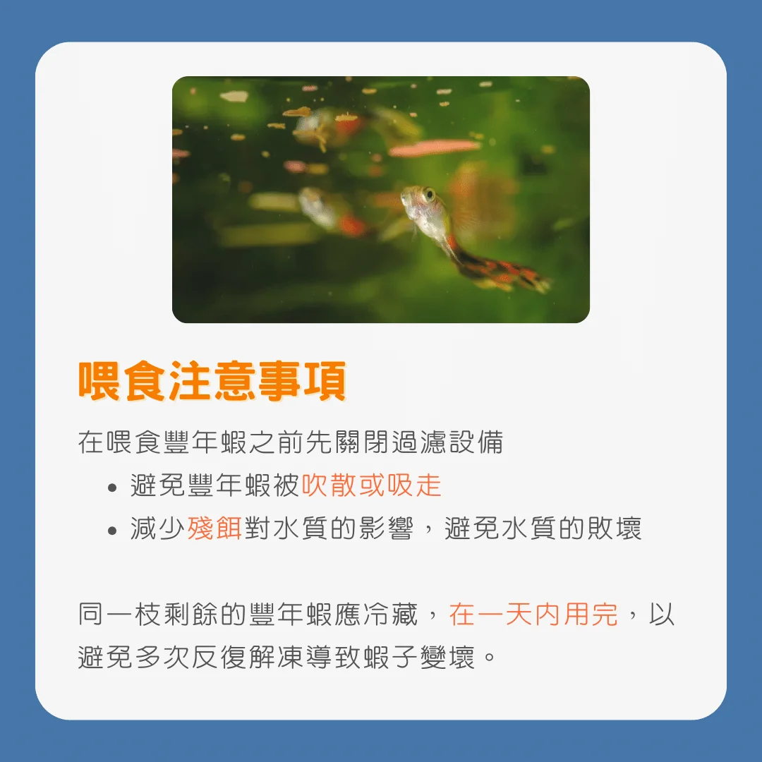 豐年蝦孵化指南豐年蝦喂食注意事項