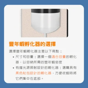 豐年蝦孵化器的選擇