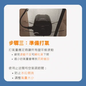 豐年蝦孵化指南步驟三：準備打氣