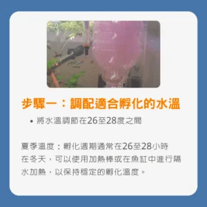 步驟一：清洗過濾器 1