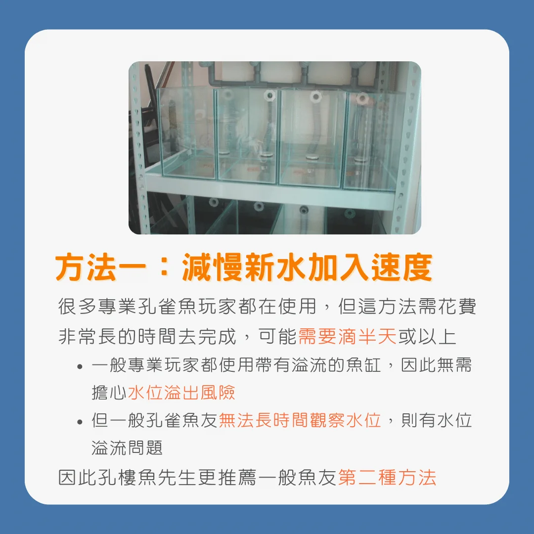 孔雀魚換水指南：換水的細節及維持水質的關鍵技巧_方法一_減慢新水加入速度2
