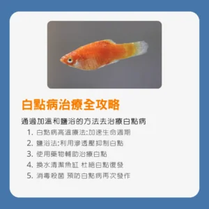 白點病治療全攻略