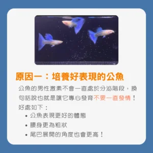原因一_培養好表現的公魚