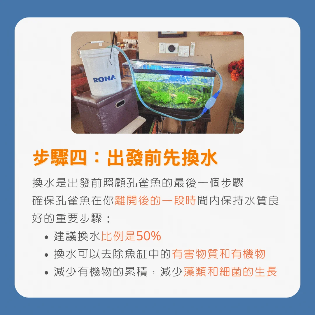 步驟四：出發前為孔雀魚先換水